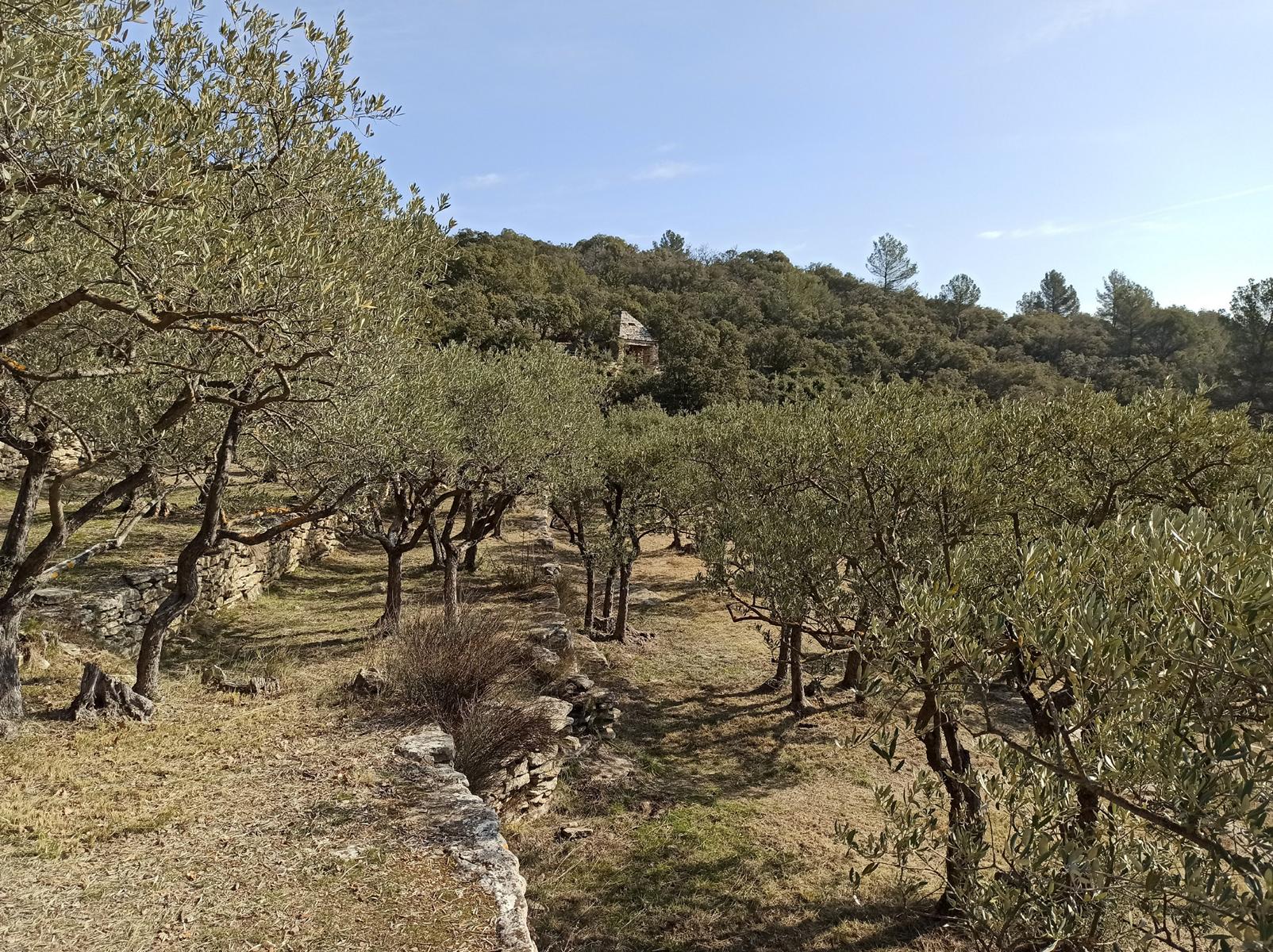 La calade de la Roche Redonne